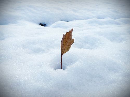 Evitar el sedentarismo en invierno