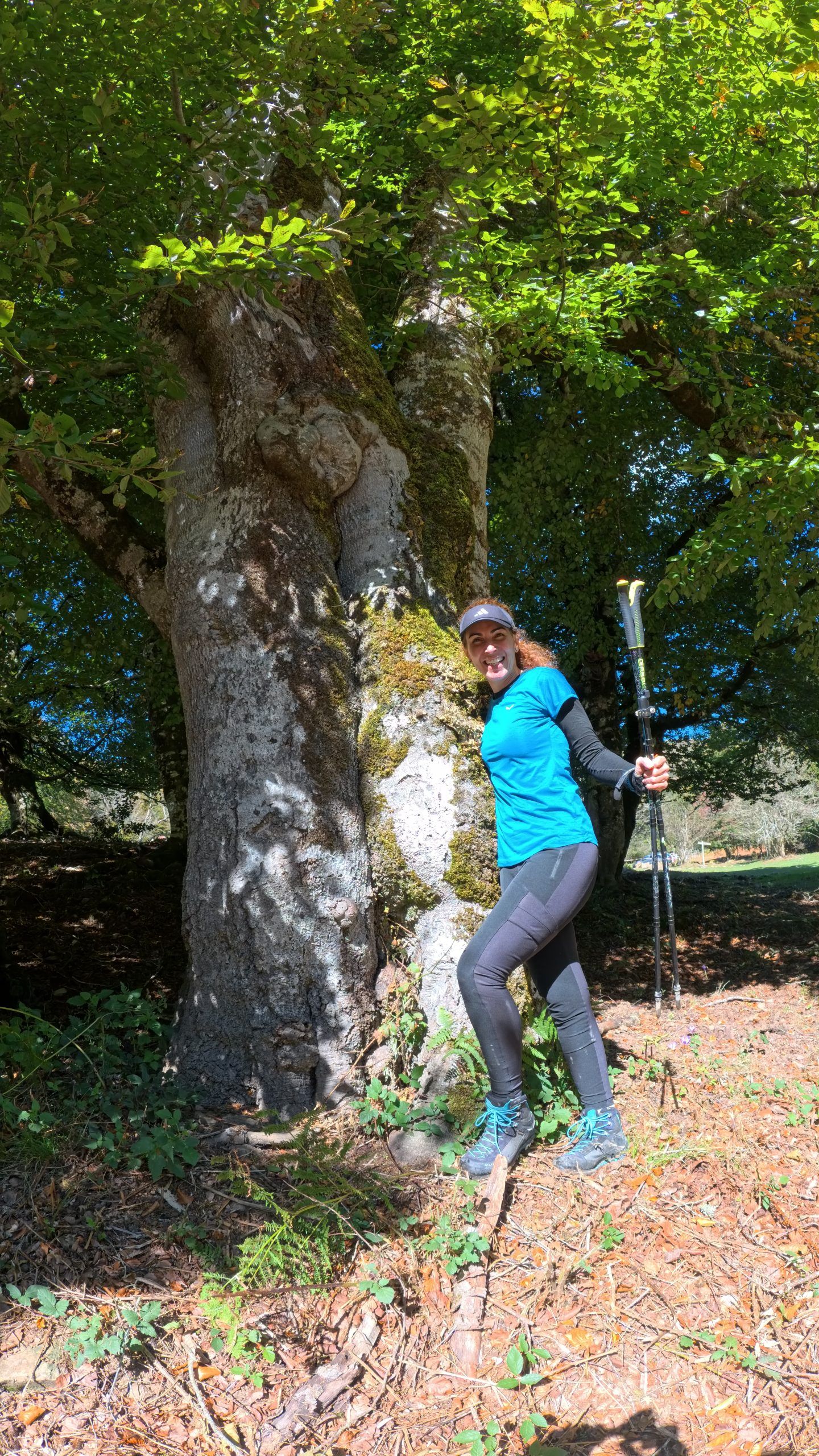 Reglamento de competición de marcha nórdica