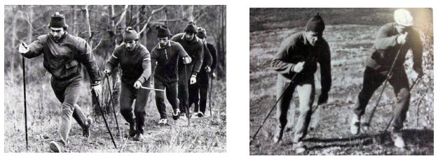 evolución de la marcha nórdica